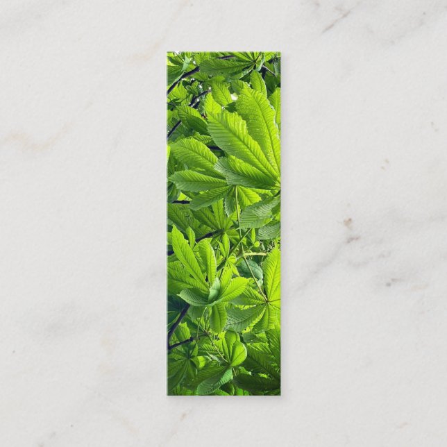 Carte De Visite Mini Photographie de la nature Vert Feuille Signet Nouv (Devant)
