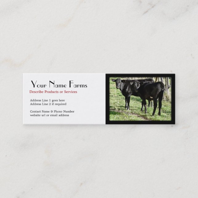 Carte De Visite Mini Ranch de Black Angus (Devant)