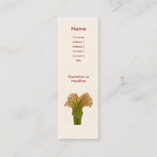 Carte De Visite Mini Sarracenia Pitcher Plante
