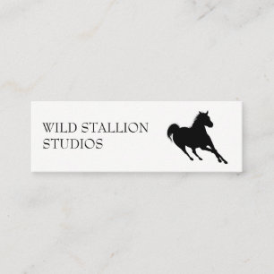 Carte De Visite Mini Stallion   Animal   Productions Vidéo Animation