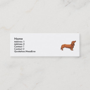 Carte De Visite Mini Teckel aux cheveux longs