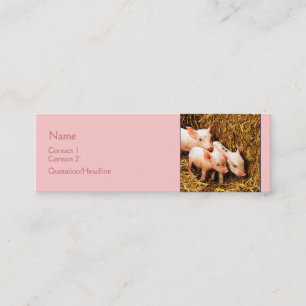 Carte De Visite Mini Trois petits porcs