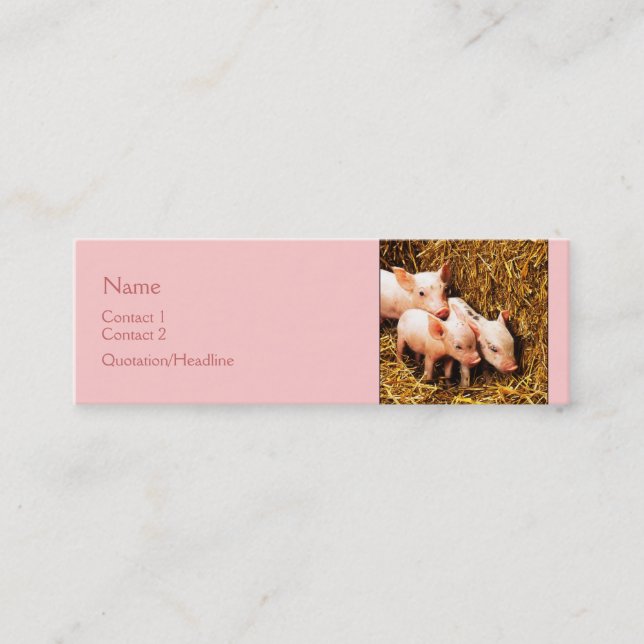 Carte De Visite Mini Trois petits porcs (Devant)