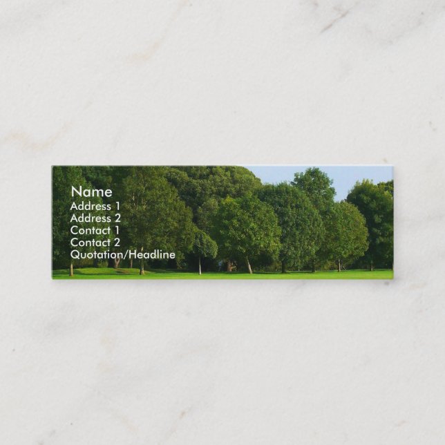 Carte De Visite Mini Un après-midi tranquille dans le parc (Devant)