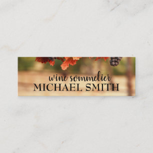 Carte De Visite Mini Vignoble / Sommelier de vin