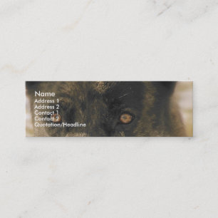 Carte De Visite Mini Yeux de chien