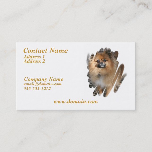 Carte de visite miniature de chien de Pomeranian (Devant)