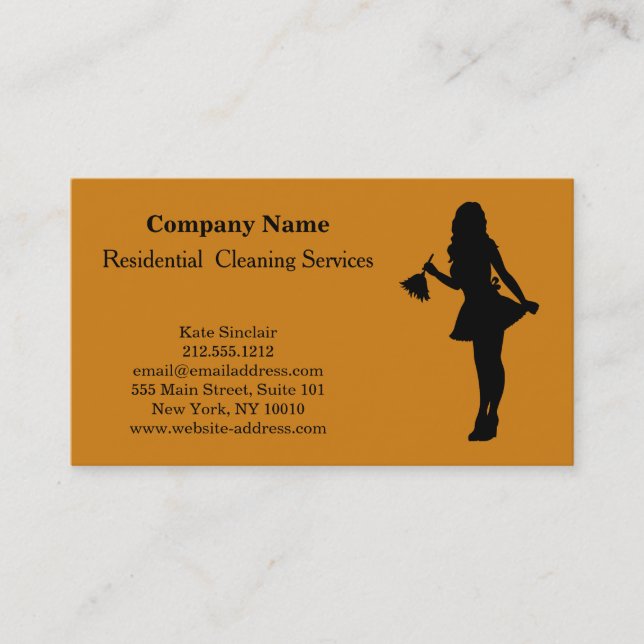 Carte De Visite Modern Professional Cleaning Service (Devant)