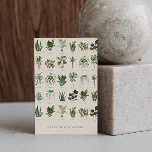Carte De Visite Moderne Boho Plantes Vertes Botanique Nature
