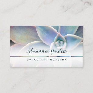 Carte De Visite Moderne simple Succulent Plante photo