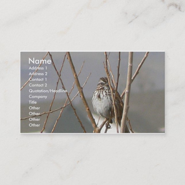 Carte De Visite Moineau de chanson (Devant)