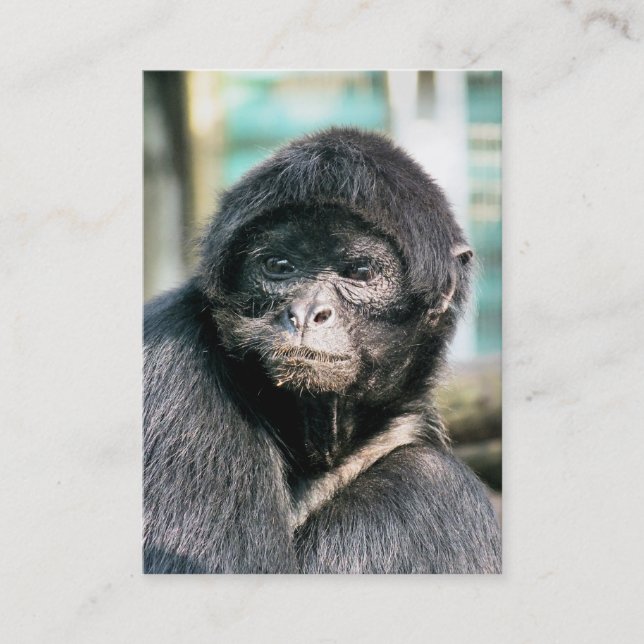 CARTE DE VISITE MONKEY (Devant)