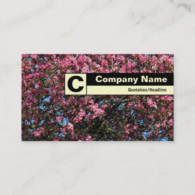 Carte De Visite Monogramme sur bordure - Fleur de cerisier rose (Devant)