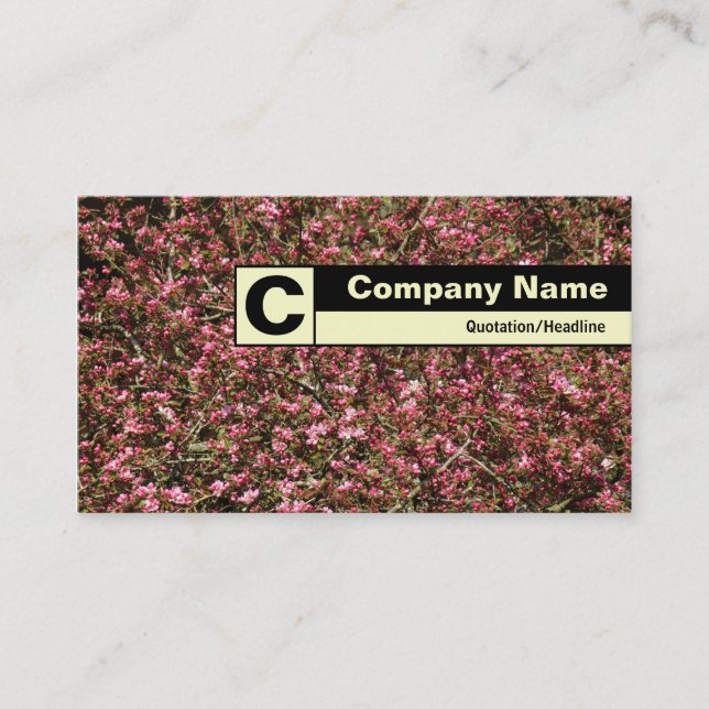 Carte De Visite Monogramme sur bordure - Fleur de cerisier rose 02 (Devant)