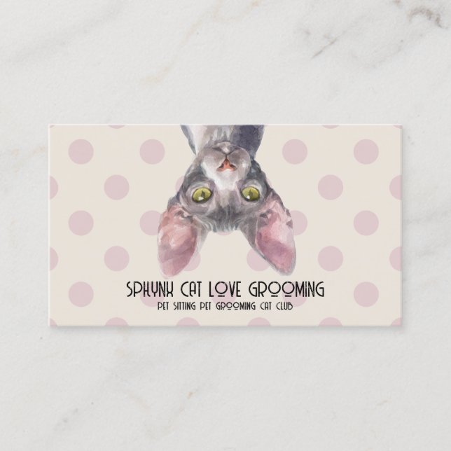 Carte De Visite Motif canadien à point de chat Sphynx (Devant)