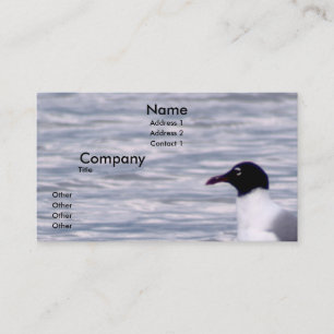 Carte De Visite Mouette riante