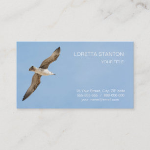 Carte De Visite Mouette volante
