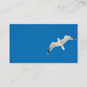 Carte De Visite Mouette volante