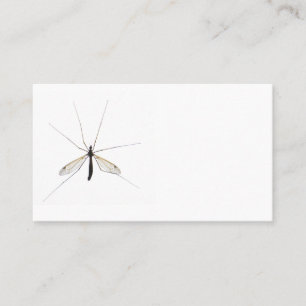 Carte De Visite Moustique