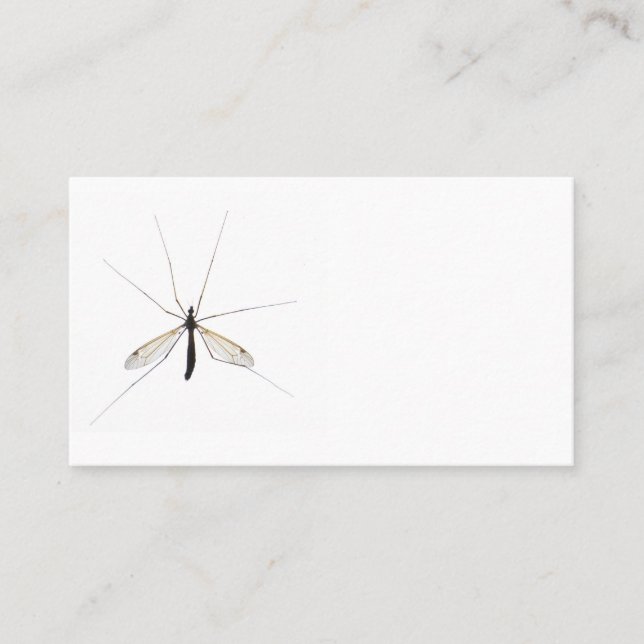 Carte De Visite Moustique (Devant)
