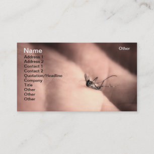 Carte De Visite Moustique mort