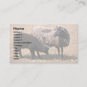 Carte De Visite Mouton