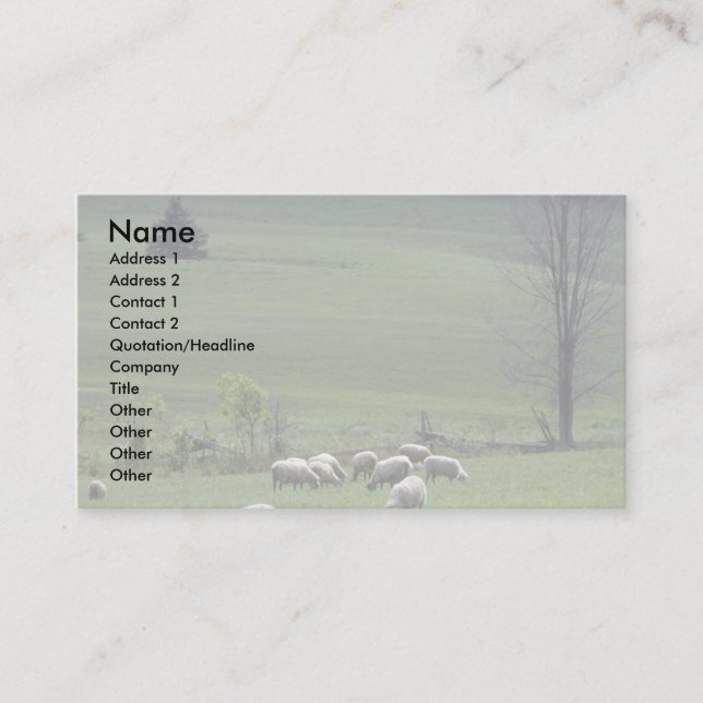 Carte De Visite Mouton (Devant)