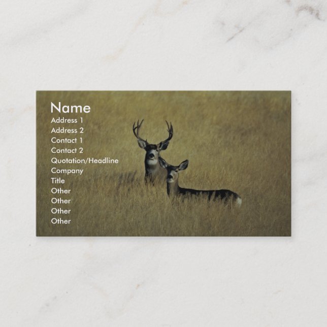 Carte De Visite Mule Deer (Devant)