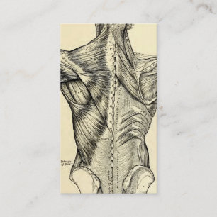 Carte De Visite Muscles du dos d'art humain d'anatomie (circa