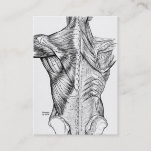 Carte De Visite Muscles du dos d'art noir et blanc d'anatomie