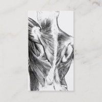 Muscles du dos vintages de l'anatomie | (circa
