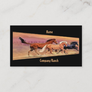 Carte De Visite Mustangs