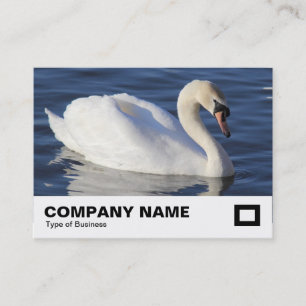 Carte De Visite Mute Swan
