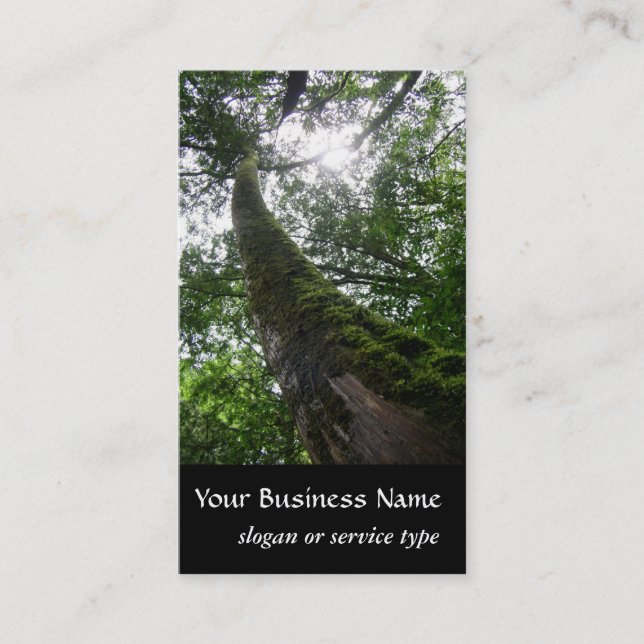 Carte De Visite Nature/arbre de Cypress à feuillage persistant (Devant)