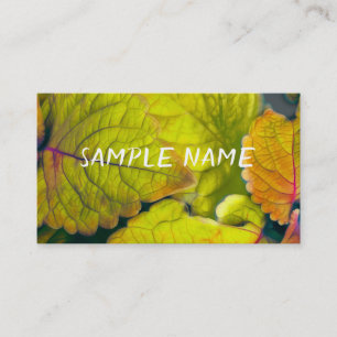 Carte De Visite nature citron vert feuille photo art plantes