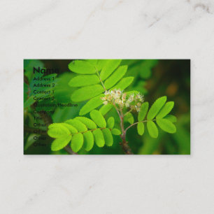 Carte De Visite Natures gloire  