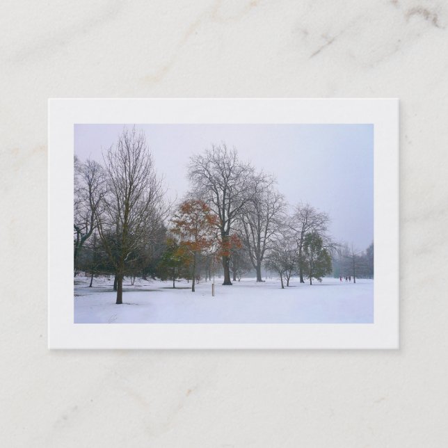 Carte De Visite Neige dans le parc, Mini Photo (Devant)