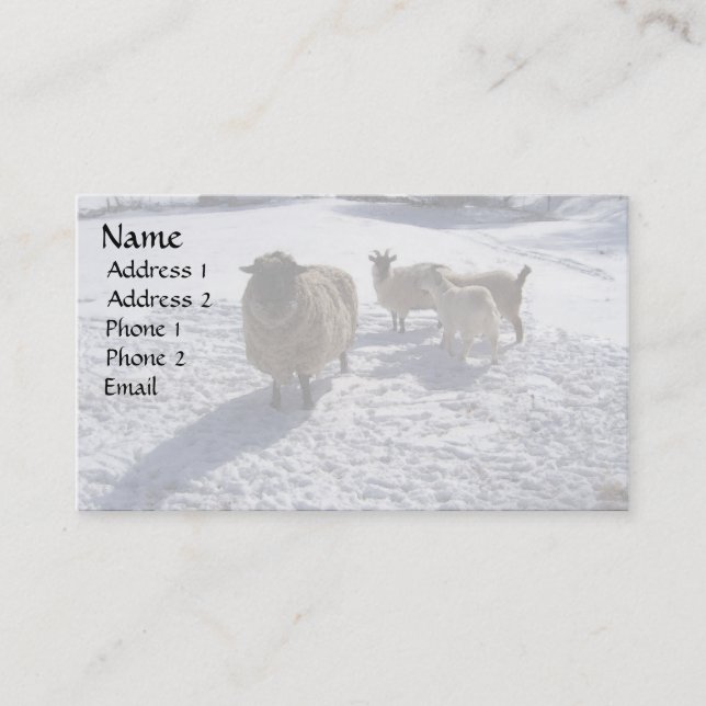 Carte De Visite Neige de moutons et de chèvres en avril (Devant)
