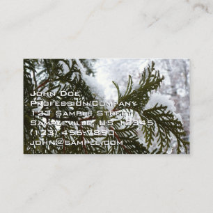 Carte De Visite Neige sur les branches À feuillage persistant