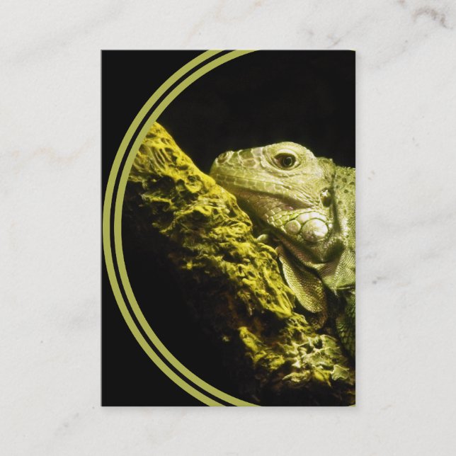 Carte de visite noble d'iguane (Devant)
