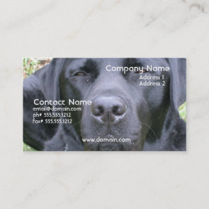 Carte de visite noir de chien de labrador