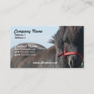Carte de visite noir de poney de Shetland