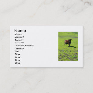 Carte de visite noir de vache
