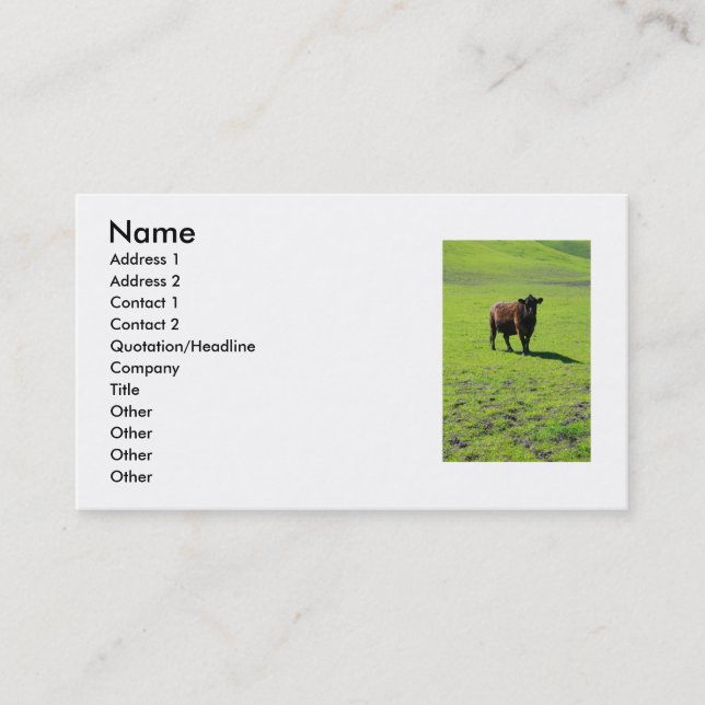 Carte de visite noir de vache (Devant)