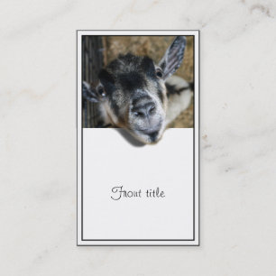 Carte De Visite Nosy Goat En Regard