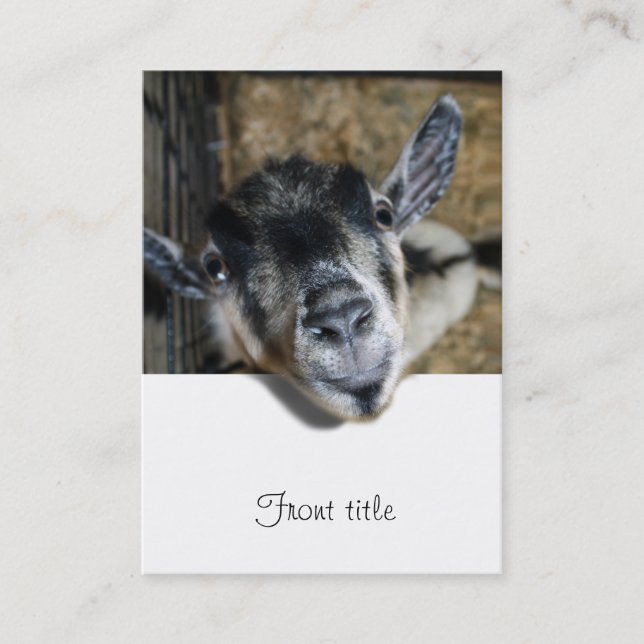 Carte De Visite Nosy Goat En Regard (Devant)