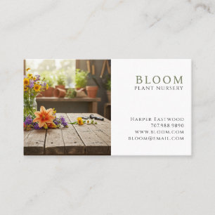 Carte De Visite Nursery Plante photo