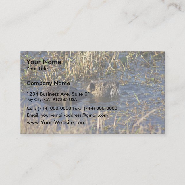 Carte De Visite Nutria dans l'eau (Devant)