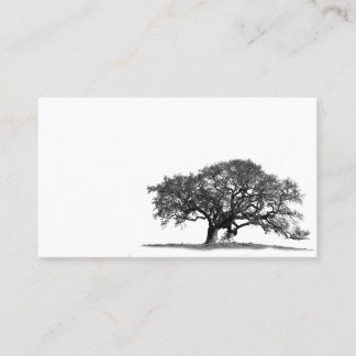 CARTE DE VISITE OAK TREE