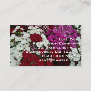 Carte De Visite Œillet floral blanc, rose et rouge